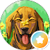 Reviewer Jo